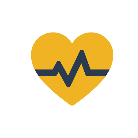 healthcare icon